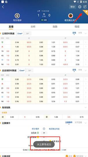 冬奧會感想250字作文