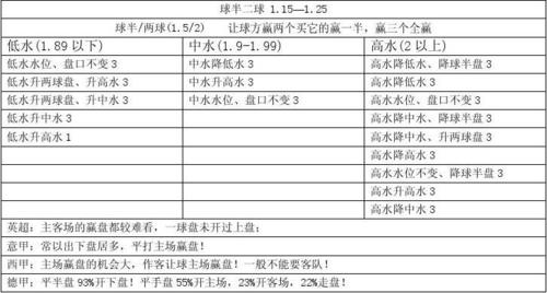 冬奧會冰場投影圖