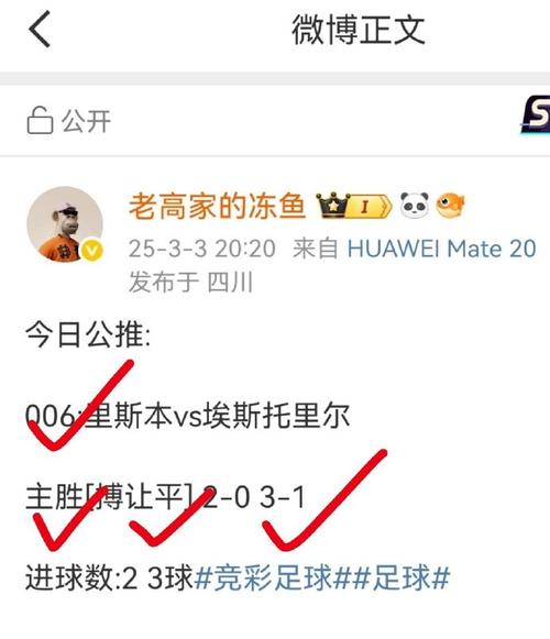 北京冬奧會獵豹介紹視頻