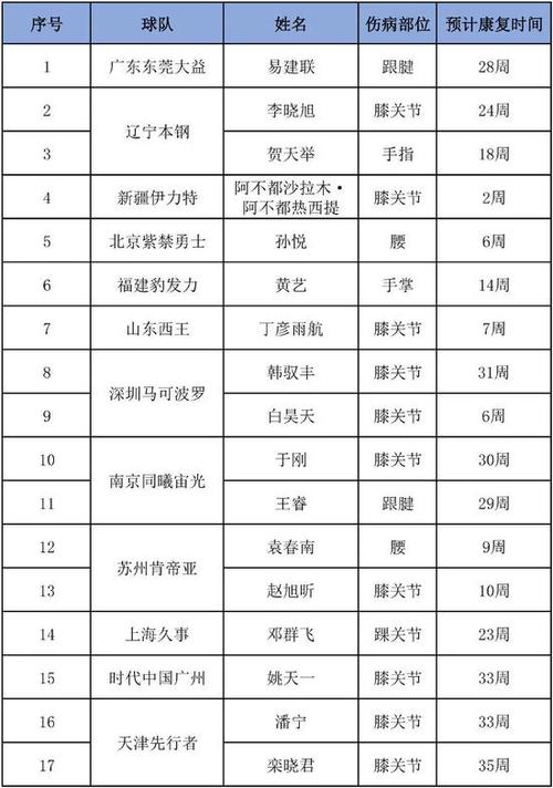 冬奧會(huì)冰球文字介紹英語(yǔ)