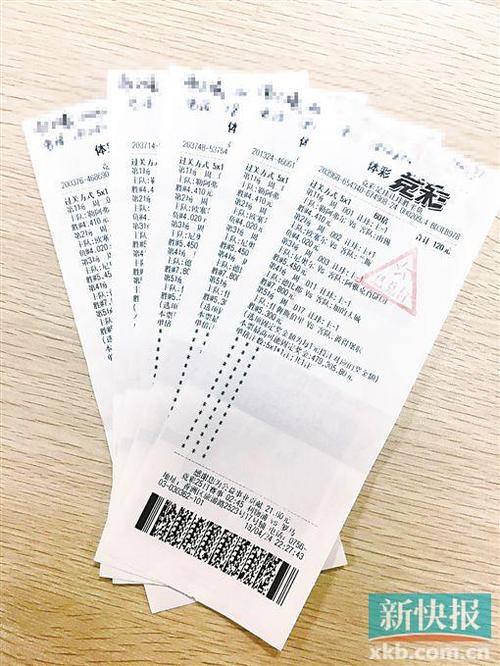 冬奧會追求卓越內(nèi)容
